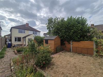 Picture 20